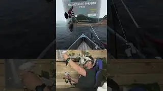 DISAPPOINTED IN MYSELF... Fishing on a Quest 2