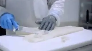 Seabass exporters from Sweden