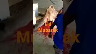 meri taraf se tamam doston ko Eid Mubarak