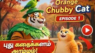 🐱😹 Orange Chubby Cat Episode 1 &ndash; Ellarukkum Trouble, Tiger Support 🔥🐯