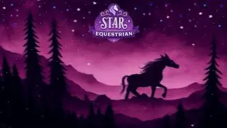Happy New Year - Star Equestrian