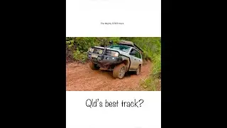 CREB track Daintree Rainforest