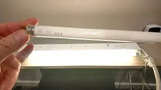 GE Polylux T5 Fluorescent Tube Goes EOL