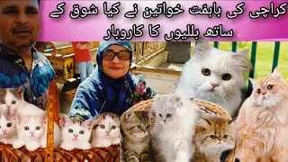 Saddar cats and dogs market 12 feb 2023 price update | Saddar dogs kutta market | Urdu/hindi