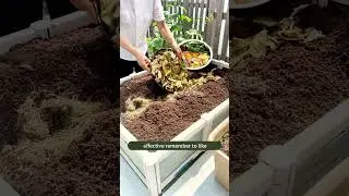 🌱Best Compost Soil Recipe Before Planting | Boost Plant Growth Naturally! 💪