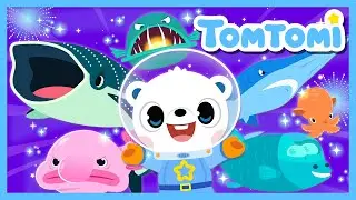 ¿Qué Animales Viven en el Fondo del Mar? 🌊🦑 | Canción de Animales Marinos #TOMTOMI en Español
