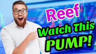 Reef Watch Pump! || Reef Price Prediction! Reef Today Updates
