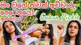 පේර අච්චාරු කන්න කැමති කව්ද?| 🍐| guava Pickle|easy recipe