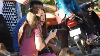 Pretty Japanese Girl Play With Monkey