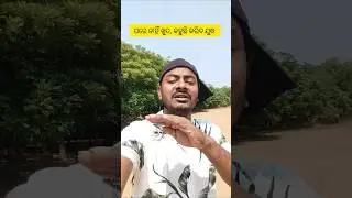 ପିମ୍ପୁଡ଼ି କହୁଛି ହାତୀକୁ ଦେଖିନେବି ତୋତେ ରାତିକୁ //Reply to Pakistan // Pahalgam Terror Attack