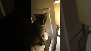 First vid