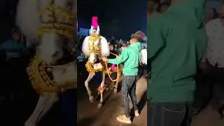 Mannanoor sandal..17-01-2025