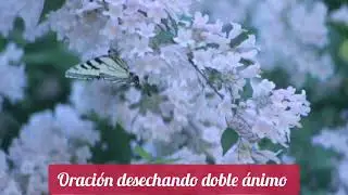 Oraci&oacute;n desechando doble &aacute;nimo/ lunes 12 de enero de 2026