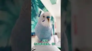 The Smartest Parrots