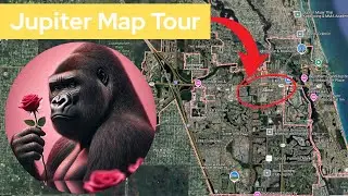 Where Should You Live In Jupiter? Find Out Now!