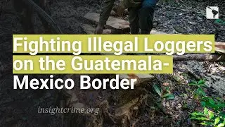 The Jungle Patrol: Fighting Illegal Loggers on the Guatemala-Mexico Border
