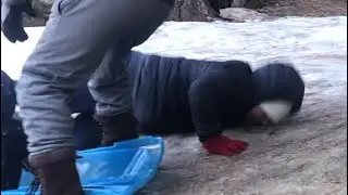 Funny Sled Fails Compilation  🥶🥶 Fails 2020