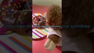 Timmy Jr. Rates Blondies Donuts