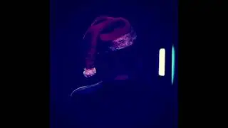 Darkling - Silent Night (Lisa Hannigan cover)