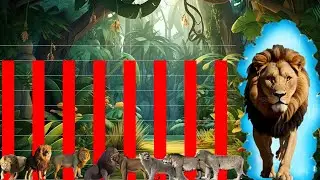 Power Ranking: All Lion Species