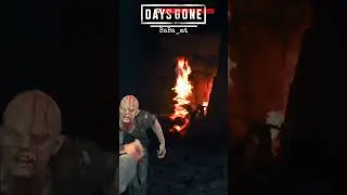 Days gone Killing the Freakers Herd #freakers #gameplay #gaming #freaker #daysgone