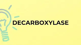 What is the meaning of the word DECARBOXYLASE?