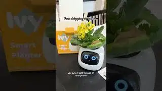 Fall in Love with This Interactive Smart Planter! Perfect Unique Gift Idea