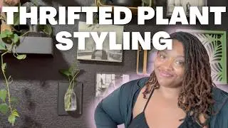 Turning Plant Chores Into Calm Plant Styling