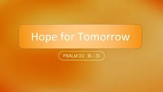 True Vine Community Church: August 17, 2025