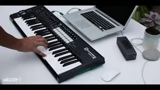 Making A Trap Beat Loop - Novation Launchkey Performance (Ableton)