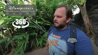 Gorilla Falls Expedition Trail - Disney Animal  Kingdom 360 Video