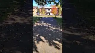 Sunny Windy Shady Walk At Kiwanis Park In London Ontario