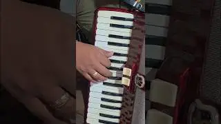 accordion tutorial for this carnival friends