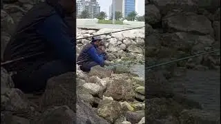 #khobar #alkhobarcorniche #khobarcorniche #alkhobarsaudiarabia #saudiarabia #fishing