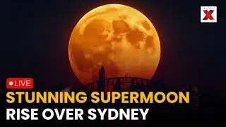 Supermoon 2025 LIVE: Spectacular Supermoon Illuminates Sydney Night Sky Over Bondi | Supermoon