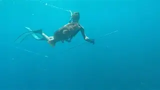 Spearfishing West Oz Life : Part 2