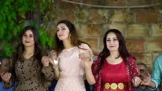فنان شيروان محمد خطبة زنار الغالي في روج افا