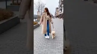 Hero Street Cat Saves Woman & Puppy from 4 Wild Dogs Attack!