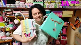APRO BUSTA SORPRESA TIGER + PLAN WITH ME 2020 WEEK #24 DECORAZIONE AGENDA TEMA FARFALLE By Nika