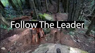 Follow the Leader