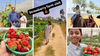 Family fun day at strawberry farm🍓& Animal farm🐇|strawberry picking in Bangalore 🍓|