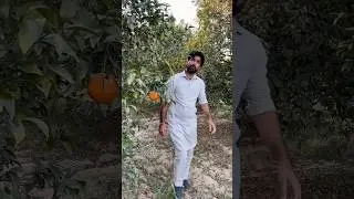 Rodiye guliye ka program 🤣🤣🤣 #rodiyoguliyo #rubygourrajasthan#viralvideo #comedy