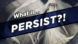 What IS Persist?!