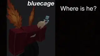 disappearance of bluecage