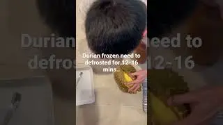 How to cut a frozen durian in US... #durian #saurieng #asiafruit
