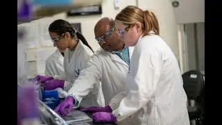 Northwestern Engineering's Master of Biotechnology Program