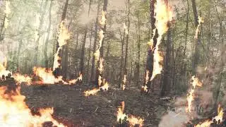 realistic forest fire and snow effect