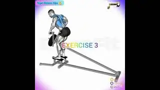 Back workout with barbell only 🏋️&zwj;♂️ 💪  - Top 6 barbell back exercises  - The best back workout🏋️&zwj;♂️