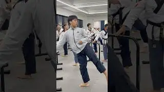 kick🥋!! #ts #tkd #taekwondo #kick #kicking #training #shorts