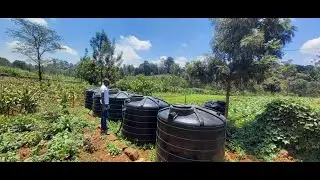 Grey Water Management System used for Irrigation at Shangilia Children's Home - Nairobi.